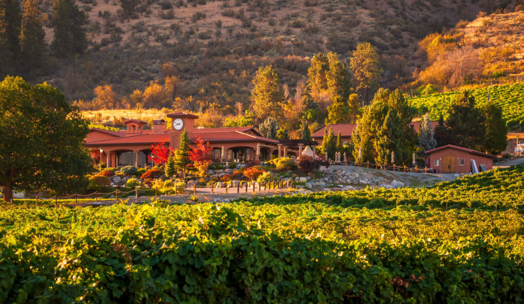 Tsillan Cellars Continues Italian Love Story