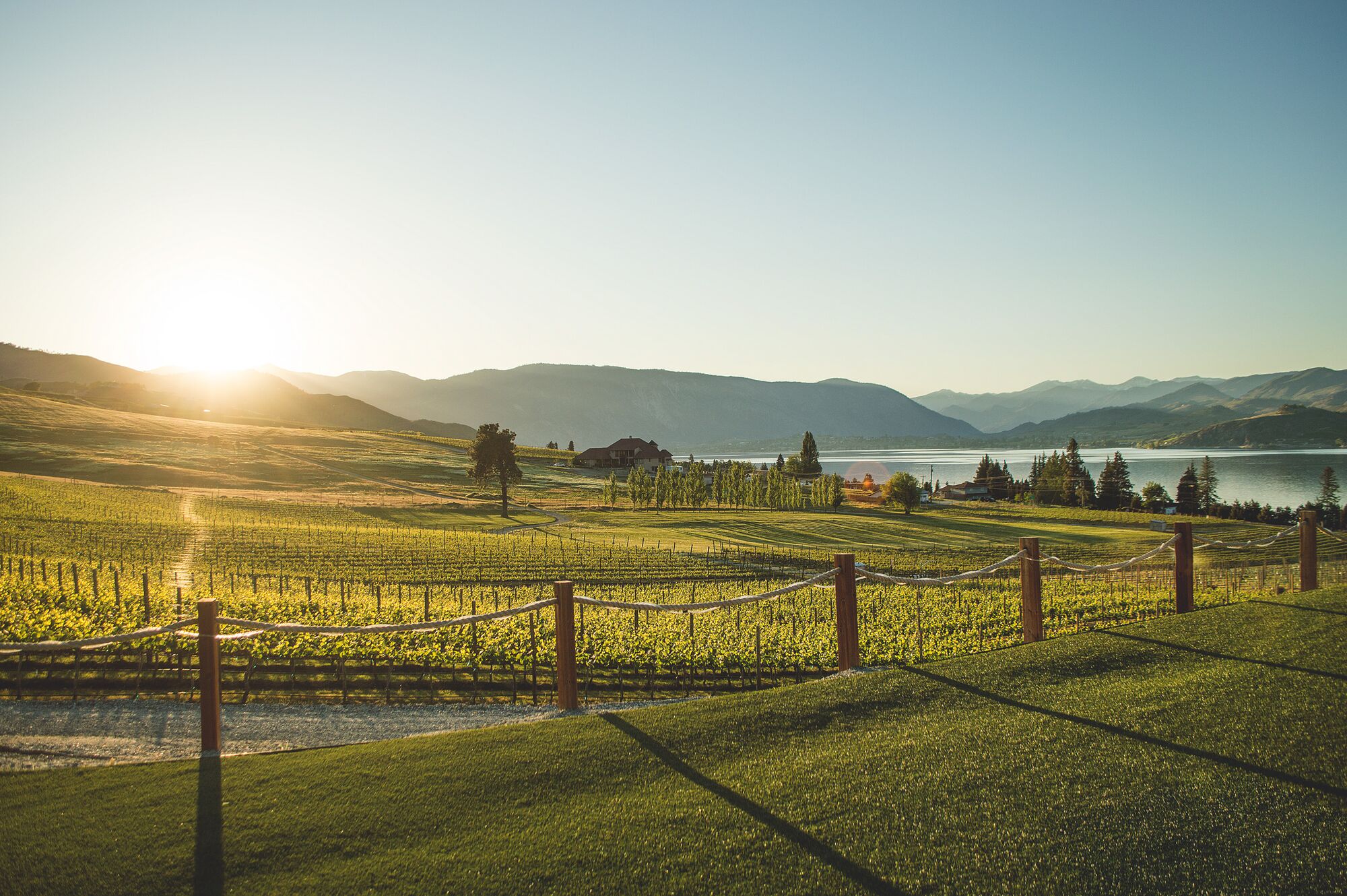 The vineyard at sunset over the lake