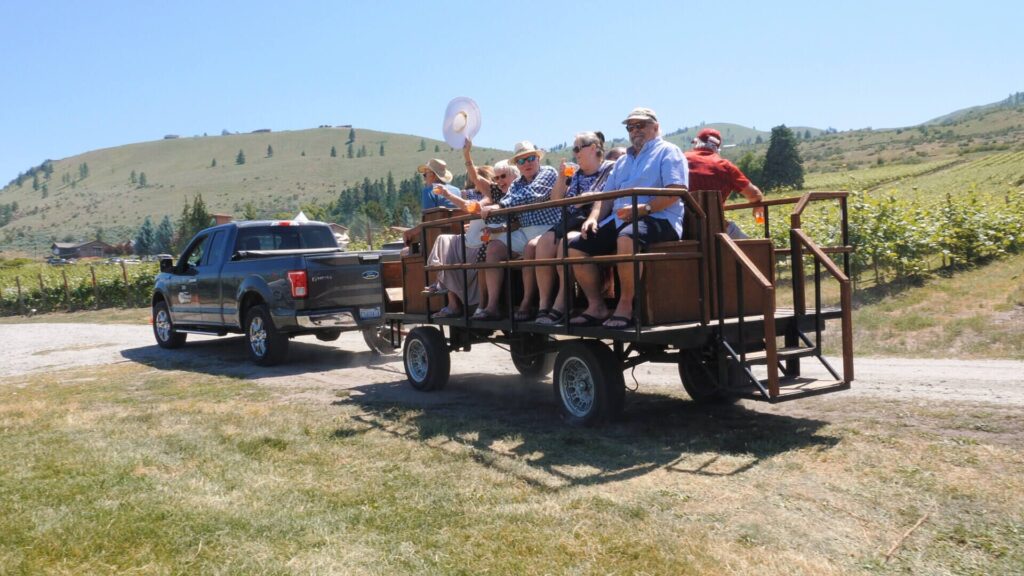 A vineyard tour on the estate
